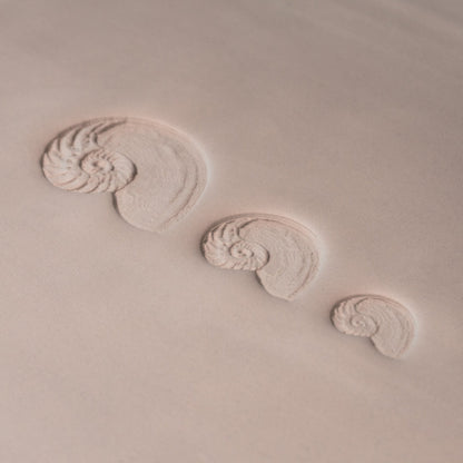 Nautilus Shell Stamp - Photo Textured - Style 1 - CraftSource Market: Craft Supplies & Kits Stamps