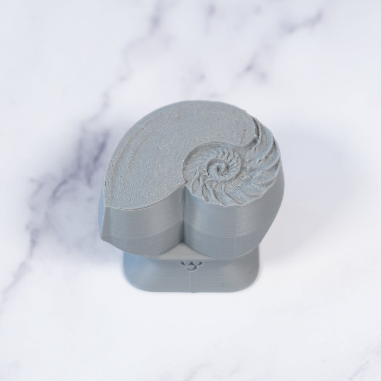 Nautilus Shell Stamp - Photo Textured - Style 1 - CraftSource Market: Craft Supplies & Kits Stamps