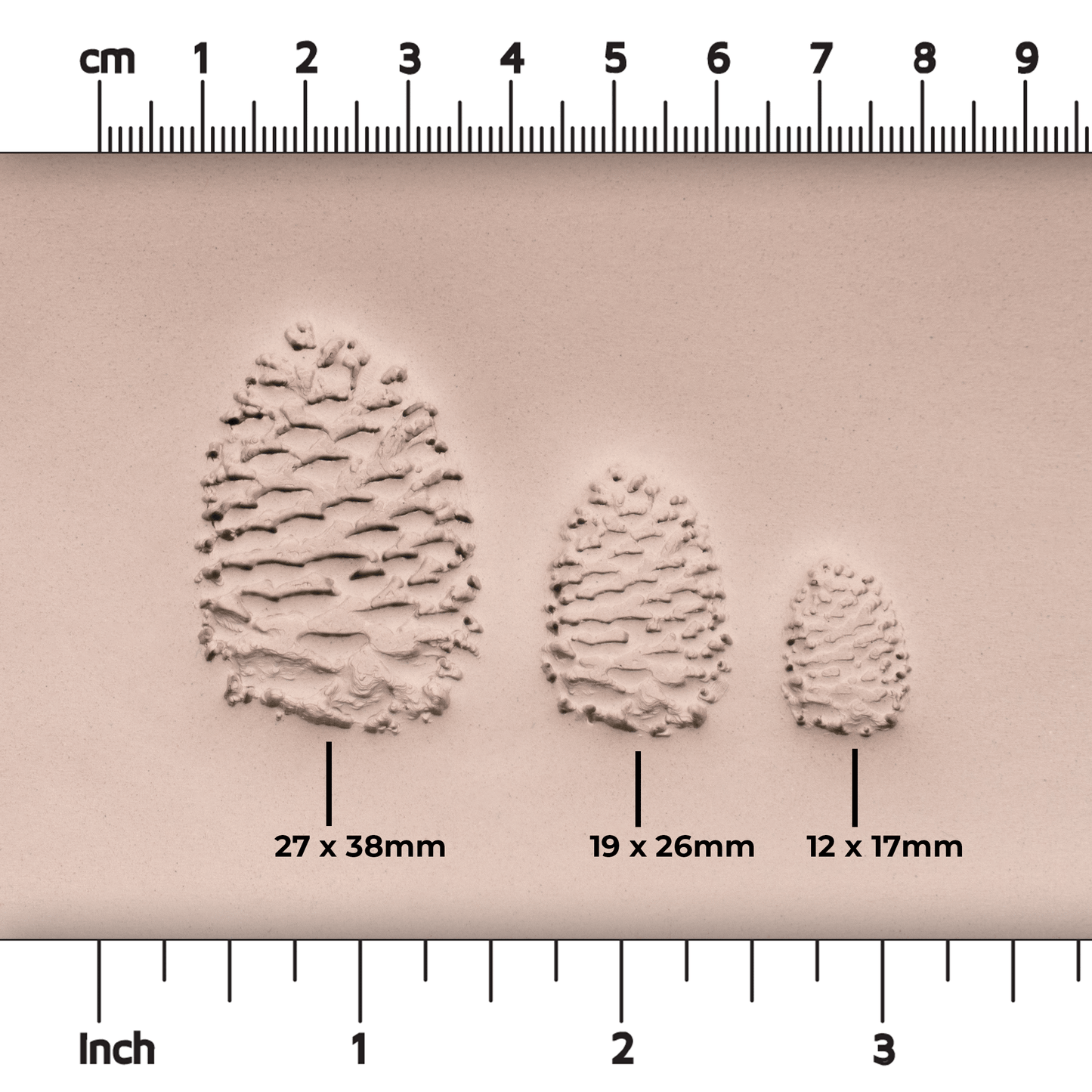 Pinecone Stamp - Photo Textured - Style #1
