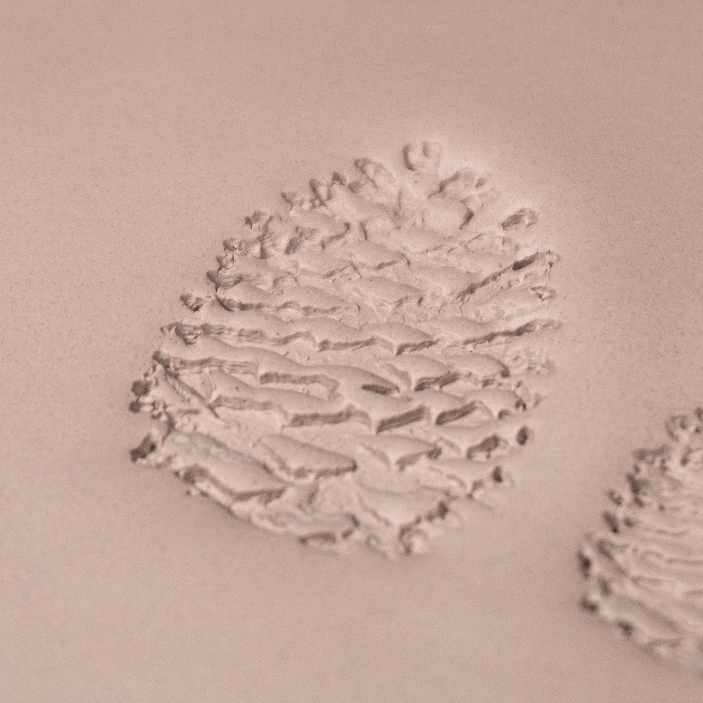 Pinecone Stamp - Photo Textured - Style #1