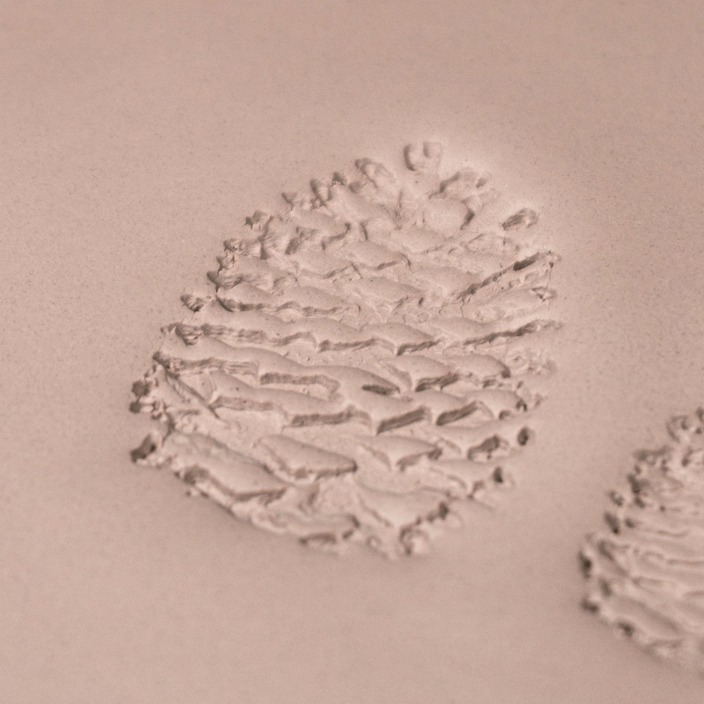 Pinecone Stamp - Photo Textured - Style 1 - CraftSource Market: Craft Supplies & Kits Stamps
