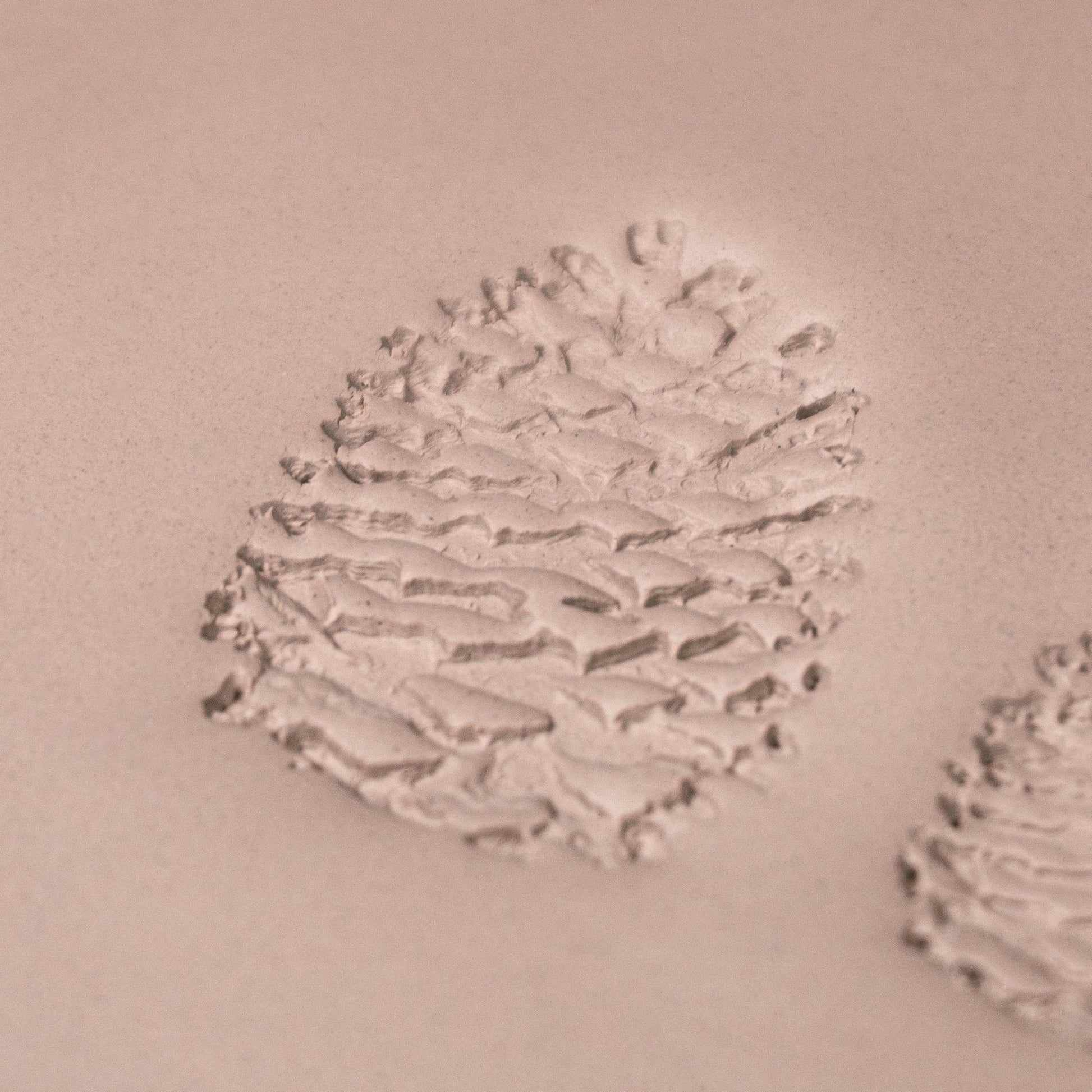 Pinecone Stamp - Photo Textured - Style 1 - CraftSource Market: Craft Supplies & Kits Stamps