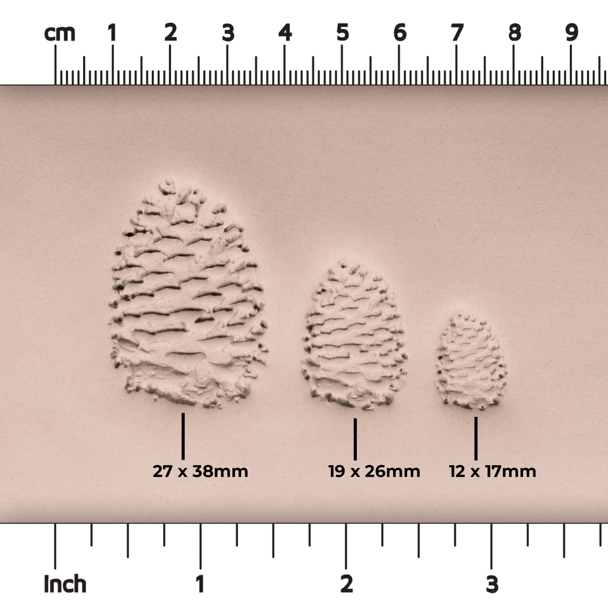 Pinecone Stamp - Photo Textured - Style 1 - CraftSource Market: Craft Supplies & Kits Stamps