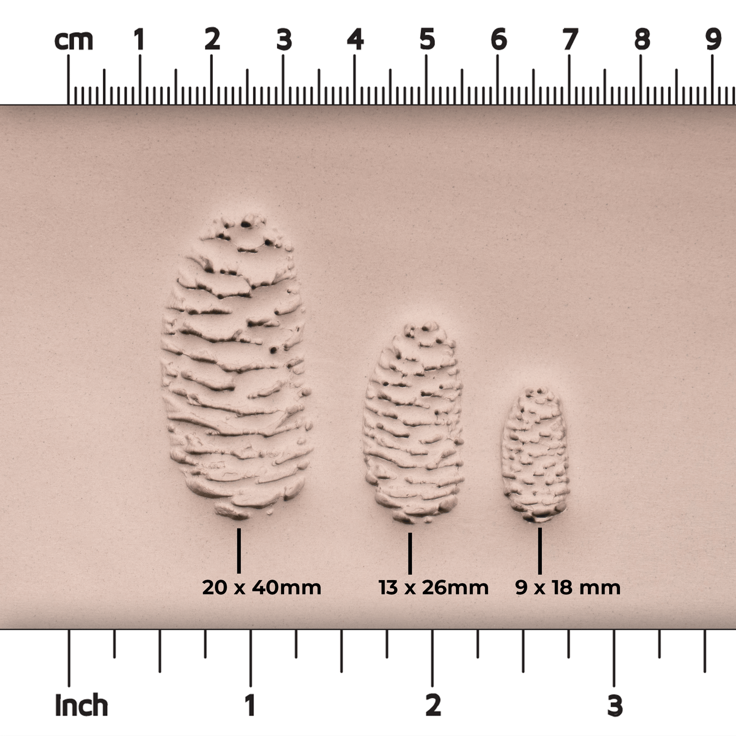 Pinecone Stamp - Photo Textured - Style #2