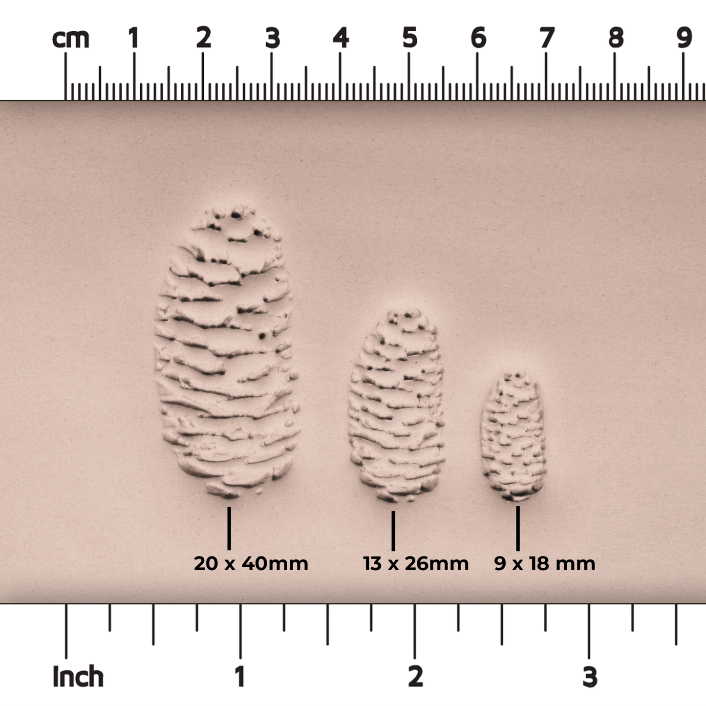 Pinecone Stamp - Photo Textured - Style 2 - CraftSource Market: Craft Supplies & Kits Stamps