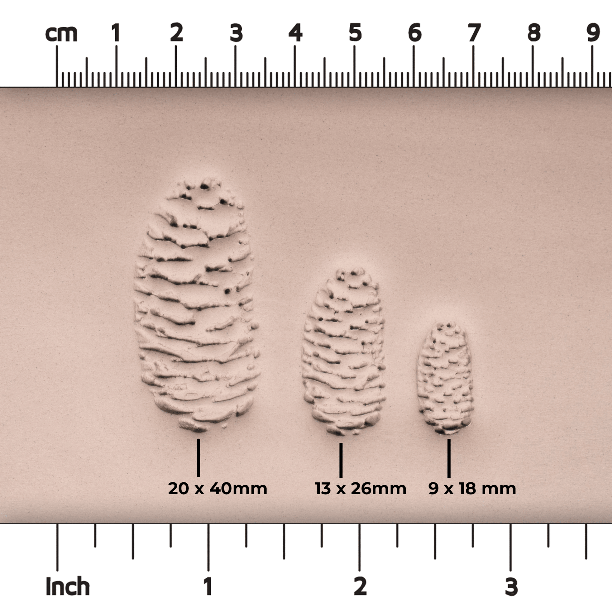Pinecone Stamp - Photo Textured - Style 2 - CraftSource Market: Craft Supplies & Kits Stamps