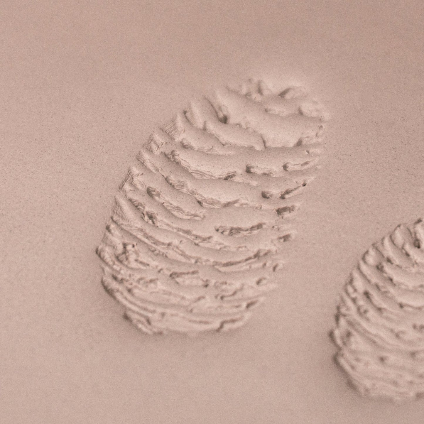 Pinecone Stamp - Photo Textured - Style 2 - CraftSource Market: Craft Supplies & Kits Stamps