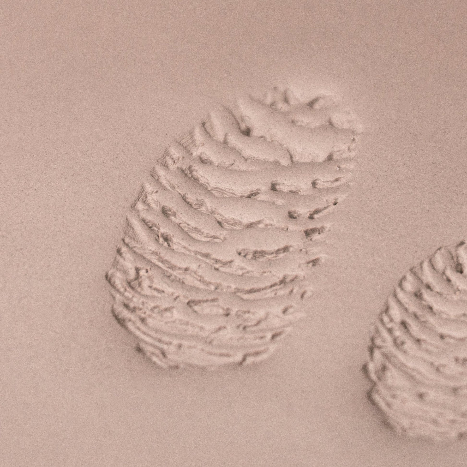 Pinecone Stamp - Photo Textured - Style 2 - CraftSource Market: Craft Supplies & Kits Stamps