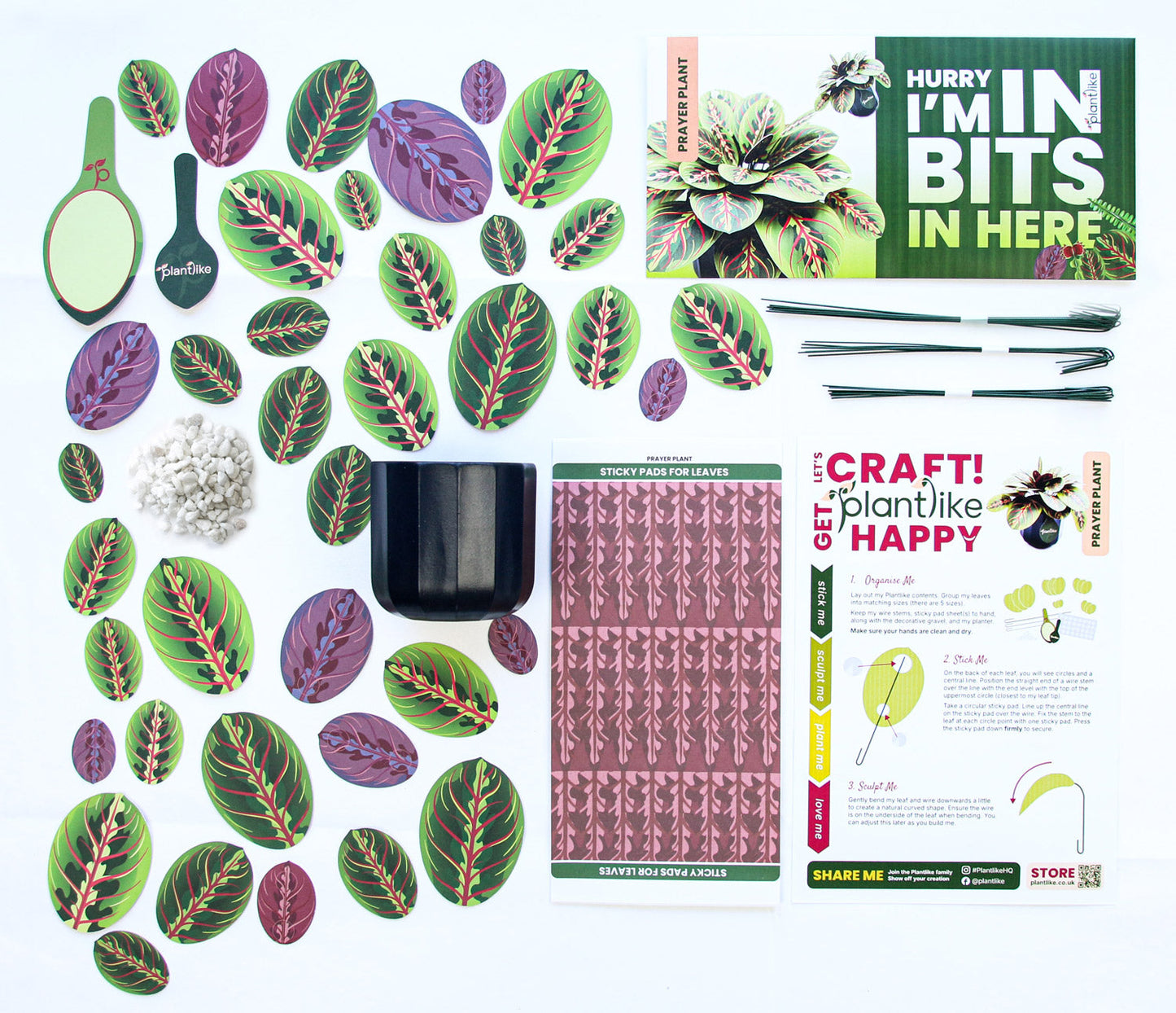 The Prayer Plant Papercraft Plant Kit