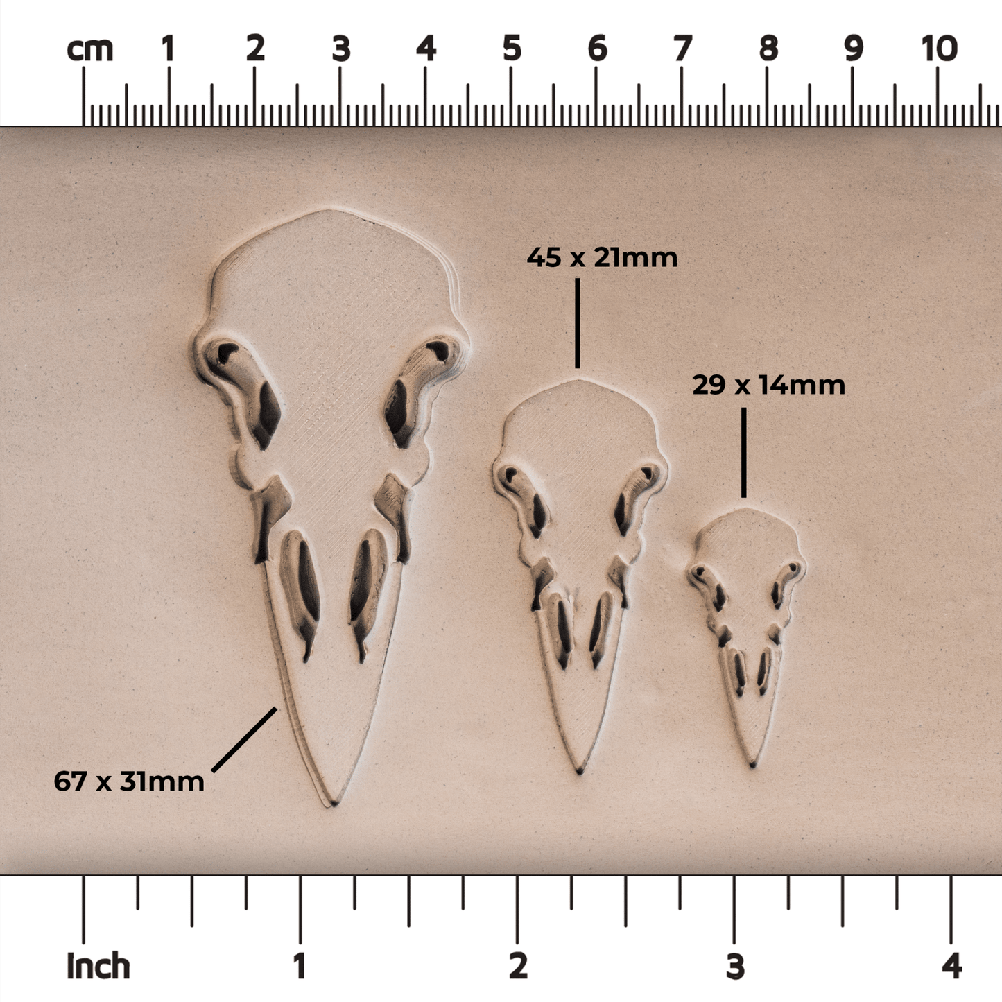 Raven Skull Stamps - CraftSource Market: Craft Supplies & Kits Stamps