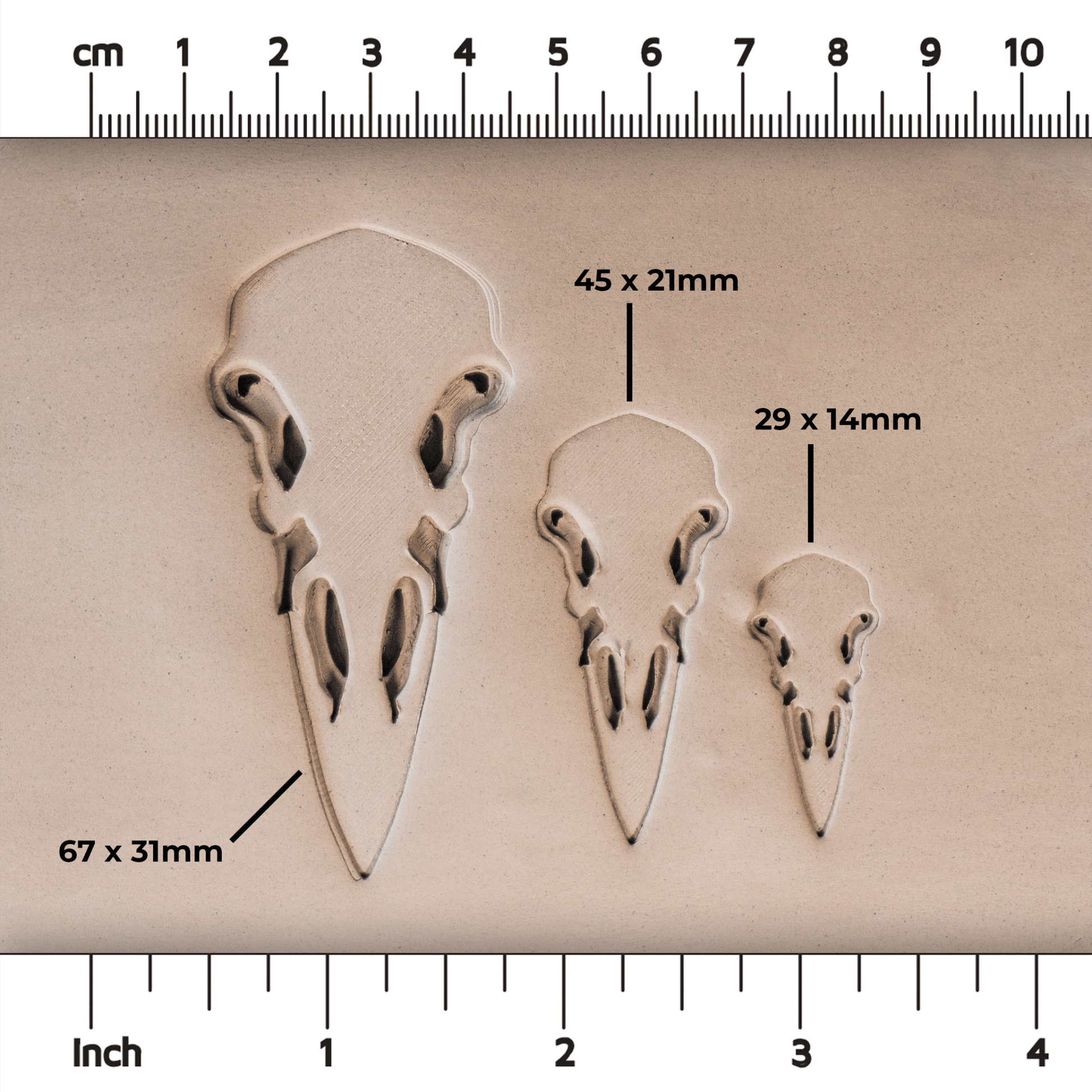 Raven Skull Stamps - CraftSource Market: Craft Supplies & Kits Stamps