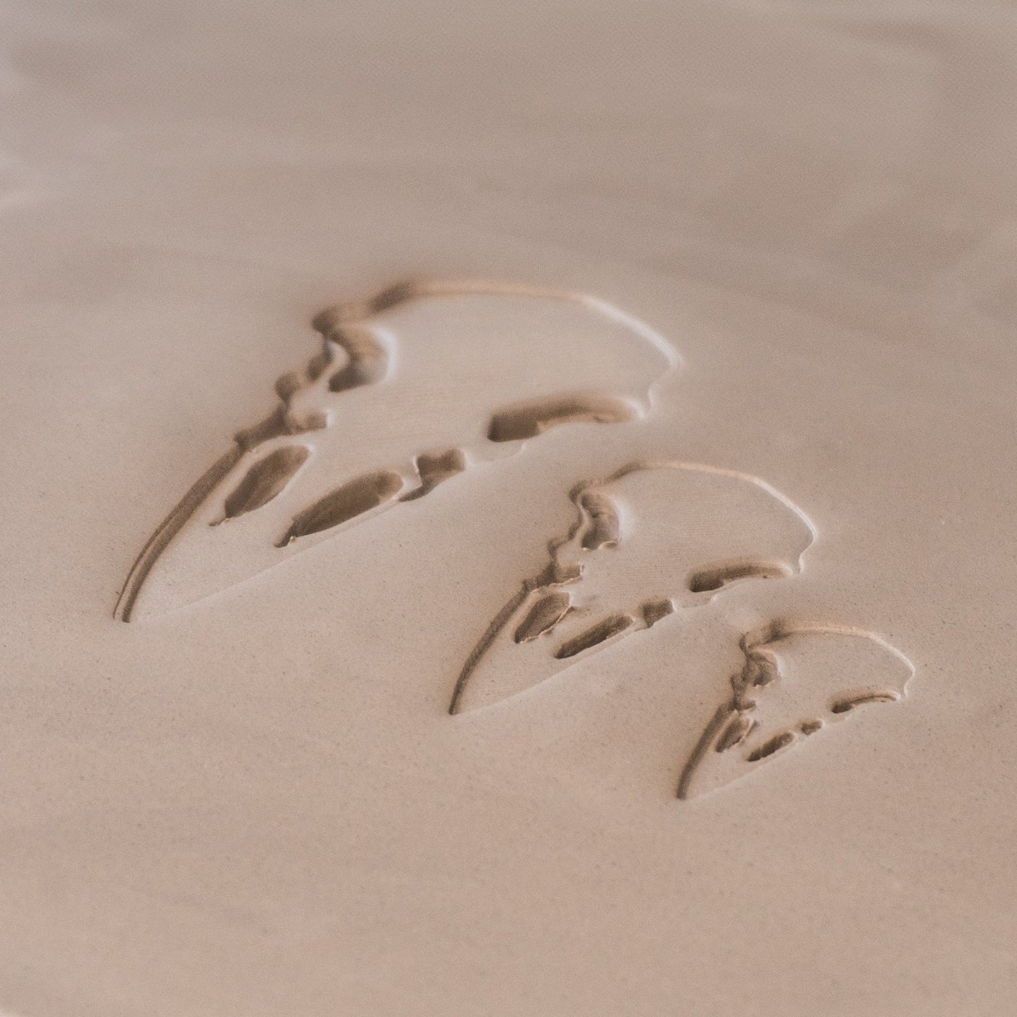 Raven Skull Stamps - CraftSource Market: Craft Supplies & Kits Stamps