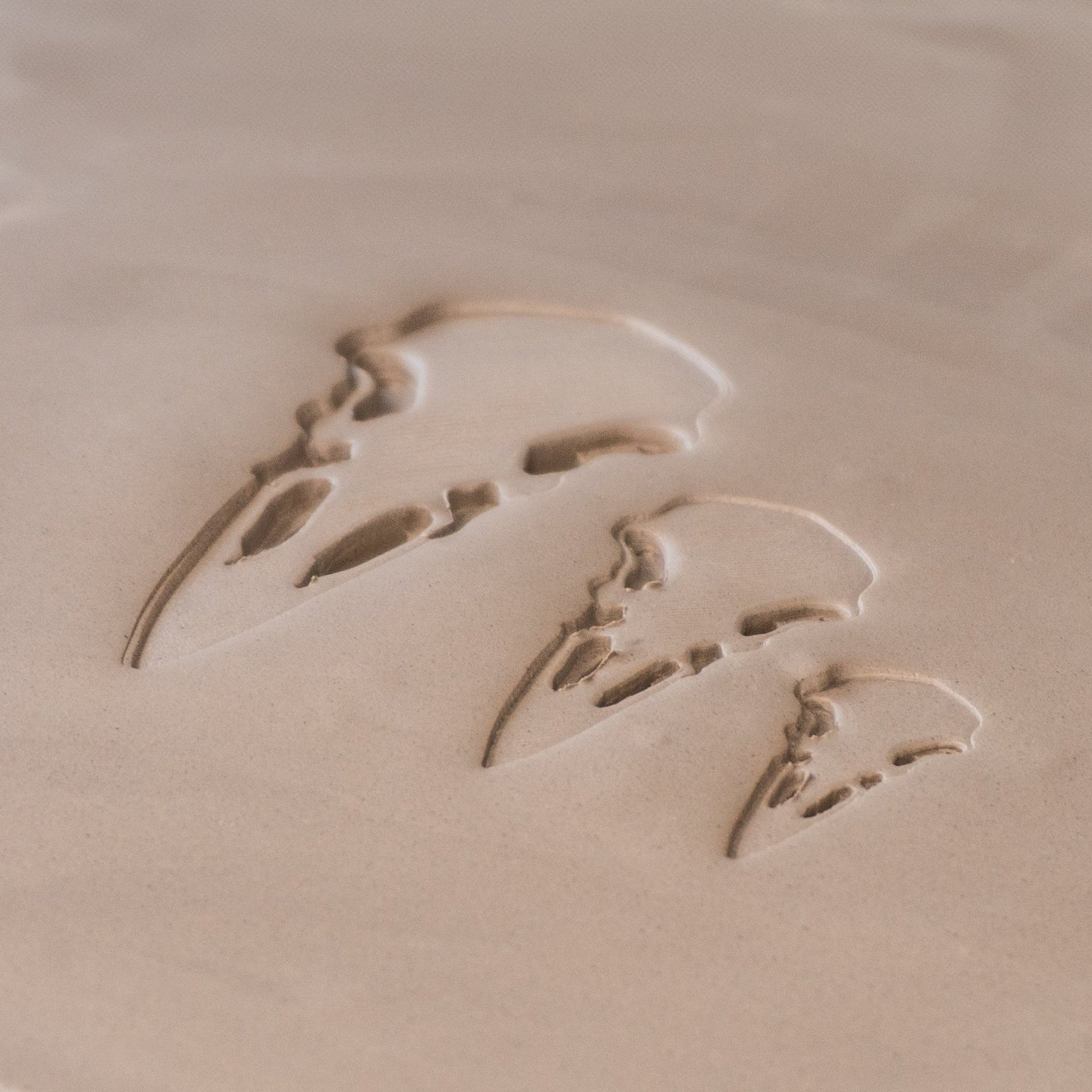 Raven Skull Stamps - CraftSource Market: Craft Supplies & Kits Stamps