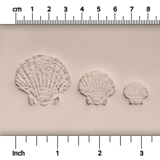 Scallop Shell Stamp - Photo Textured - Style #1