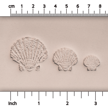 Scallop Shell Stamp - Photo Textured - Style 1 - CraftSource Market: Craft Supplies & Kits Stamps