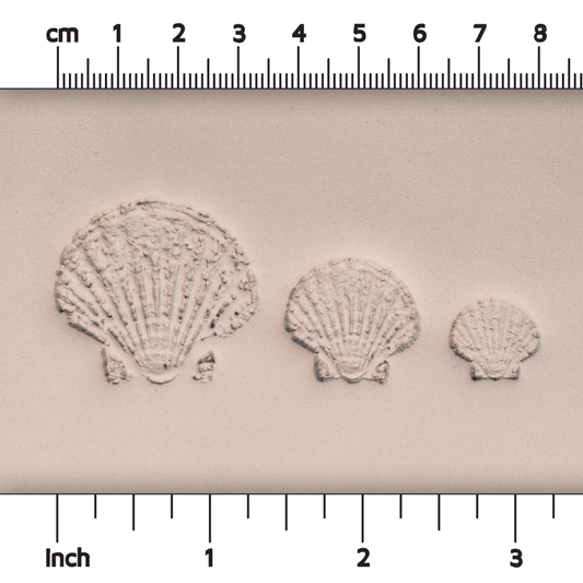 Scallop Shell Stamp - Photo Textured - Style 1 - CraftSource Market: Craft Supplies & Kits Stamps