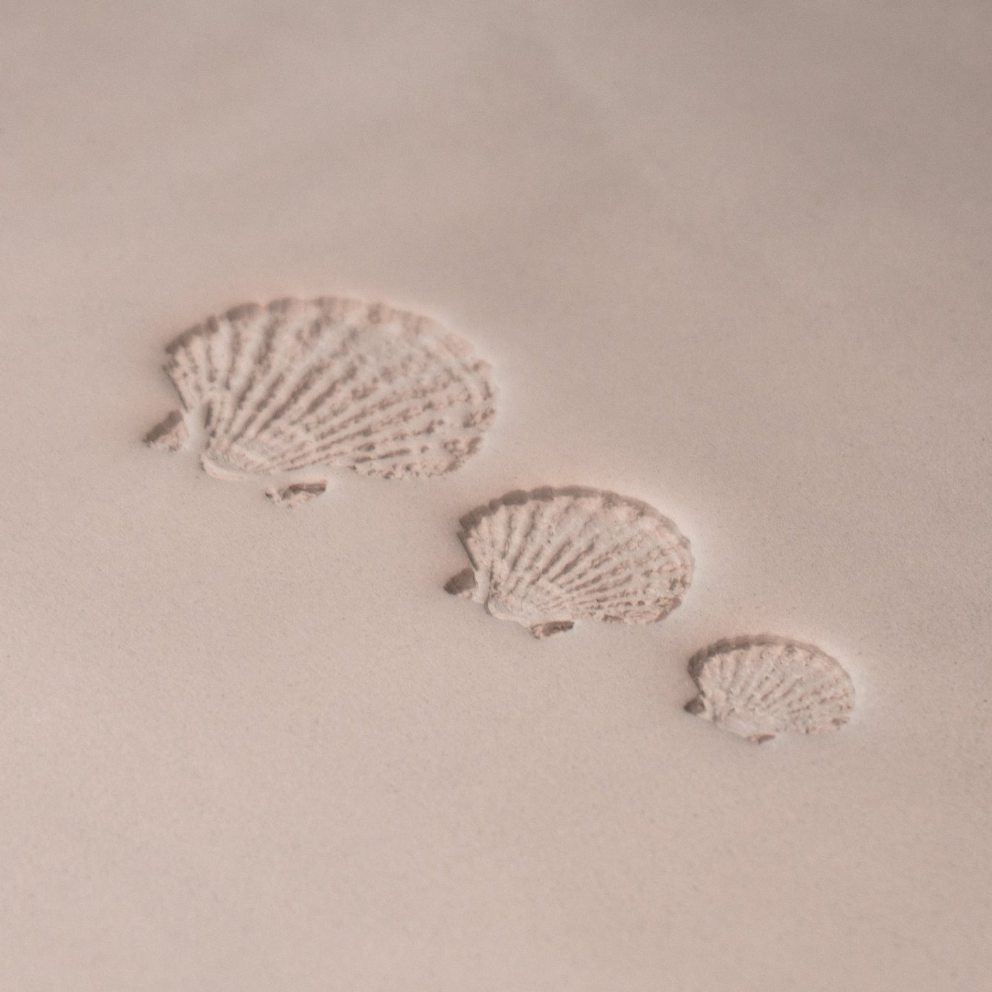 Scallop Shell Stamp - Photo Textured - Style 1 - CraftSource Market: Craft Supplies & Kits Stamps