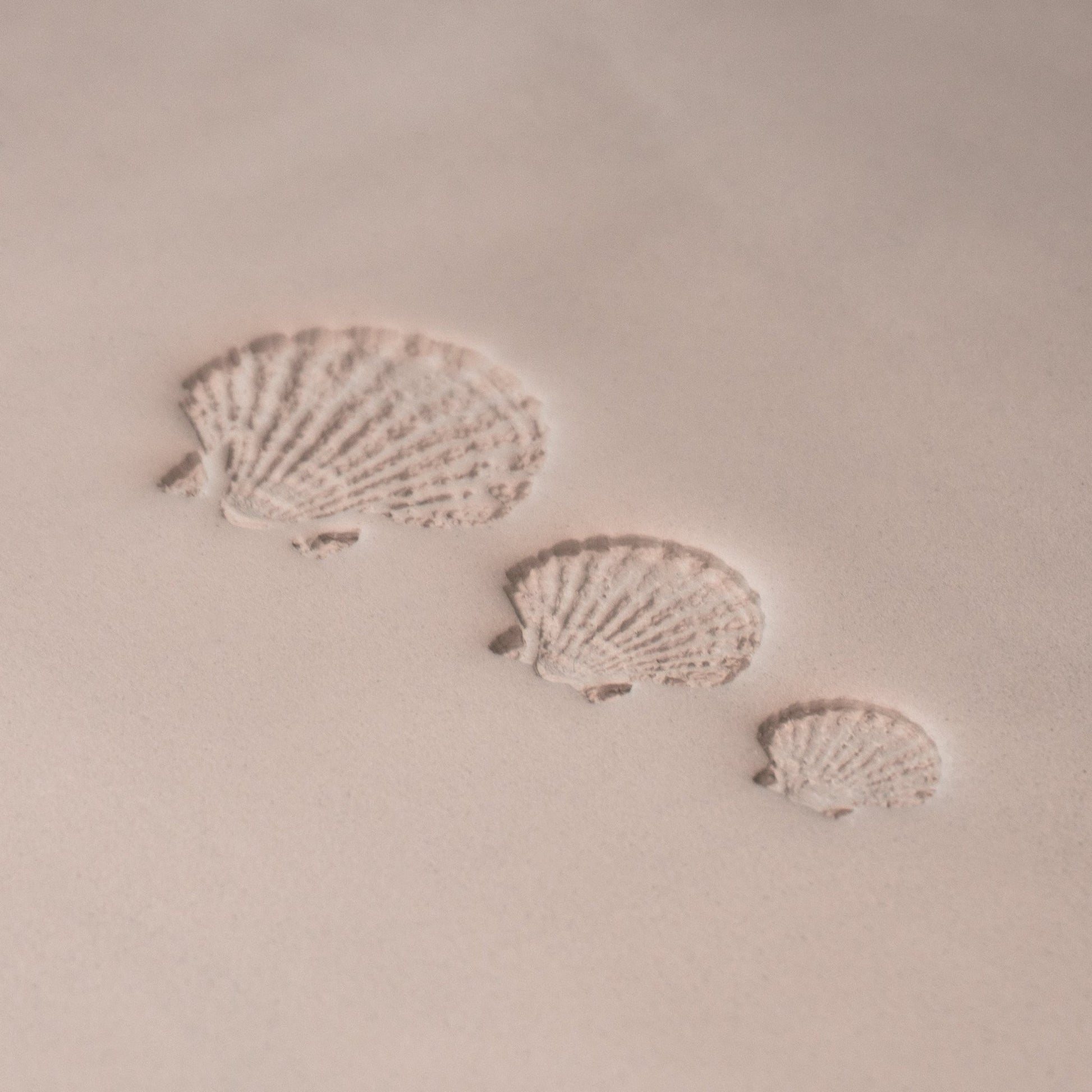 Scallop Shell Stamp - Photo Textured - Style 1 - CraftSource Market: Craft Supplies & Kits Stamps