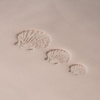 Scallop Shell Stamp - Photo Textured - Style 1 - CraftSource Market: Craft Supplies & Kits Stamps