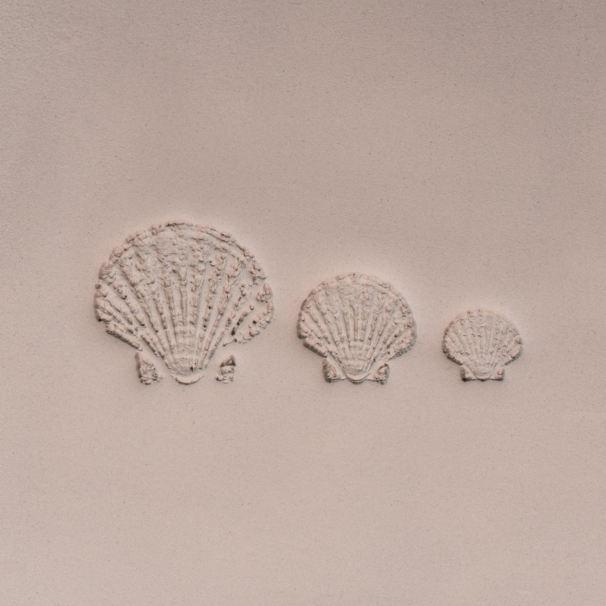 Scallop Shell Stamp - Photo Textured - Style 1 - CraftSource Market: Craft Supplies & Kits Stamps