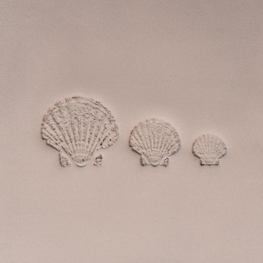 Scallop Shell Stamp - Photo Textured - Style 1 - CraftSource Market: Craft Supplies & Kits Stamps