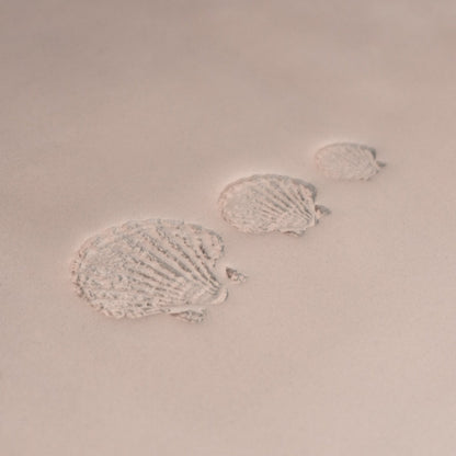 Scallop Shell Stamp - Photo Textured - Style 1 - CraftSource Market: Craft Supplies & Kits Stamps