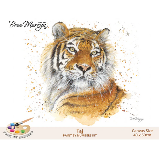 Bree Merryn Paint By Numbers - Taj