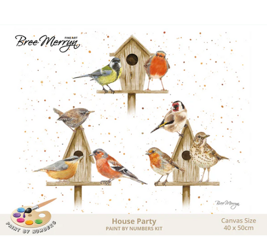 Bree Merryn Paint By Numbers - House Party