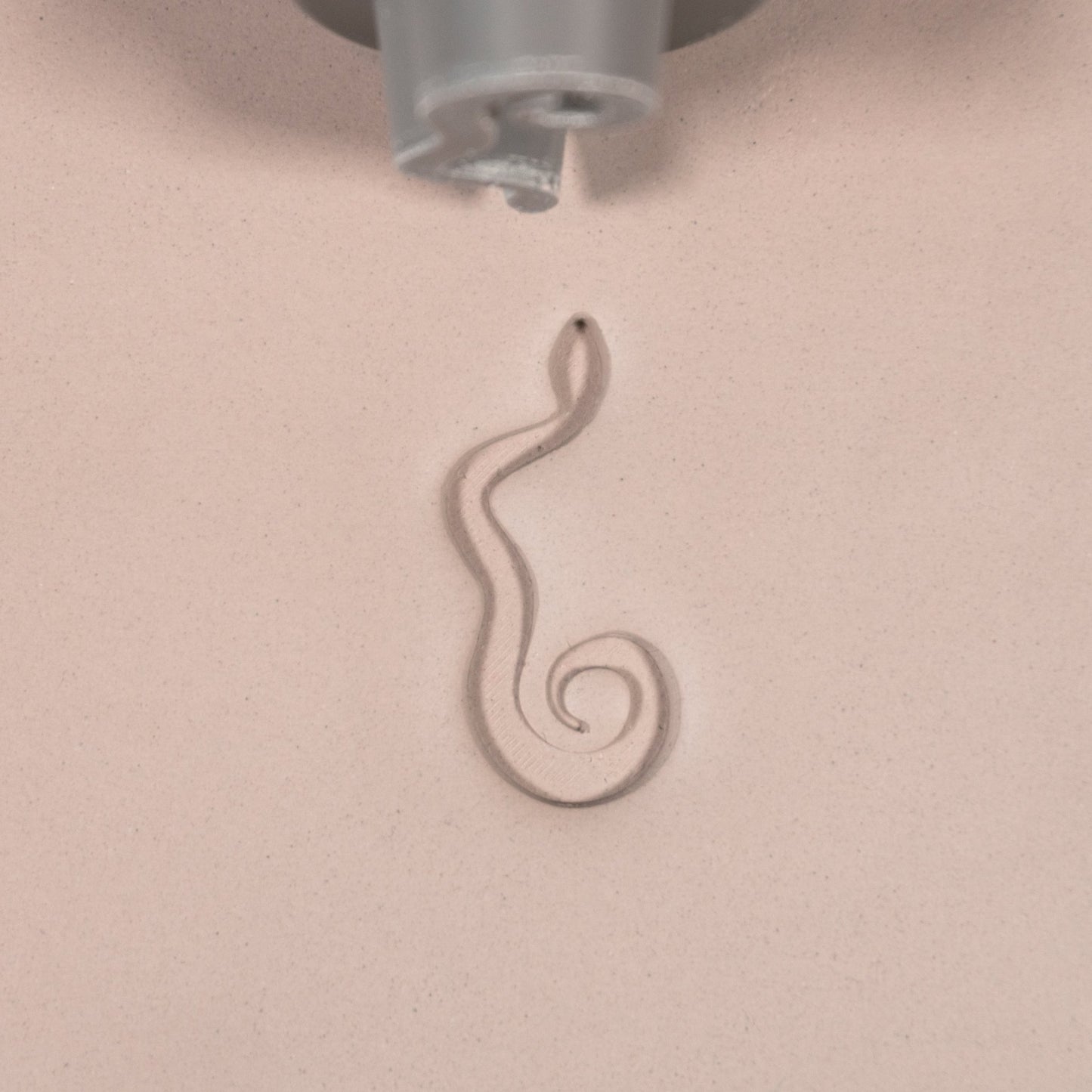 Snake Stamp Set of 6 - CraftSource Market: Craft Supplies & Kits Stamps