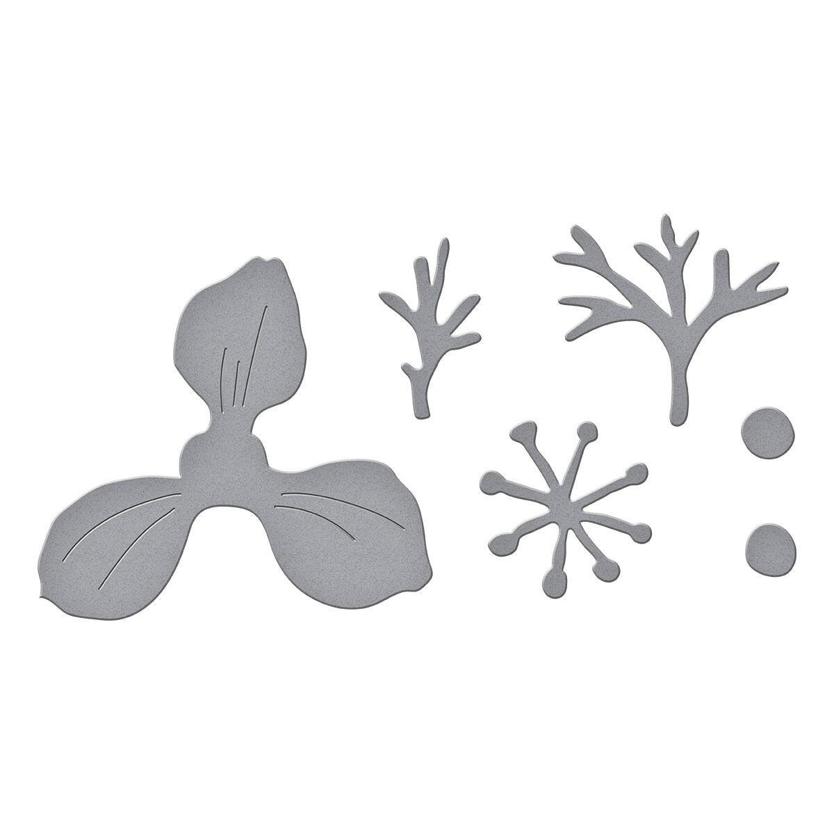 Spellbinders Anemone Die Set - CraftSource Market: Craft Supplies & Kits Spellbinders > Dies > Summer > Craft Die Set