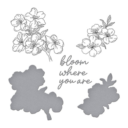Spellbinders Cherry Blossoms BetterPress Plate & Die Set - CraftSource Market: Craft Supplies & Kits Spellbinders > Bundles > Floral > Craft Bundle