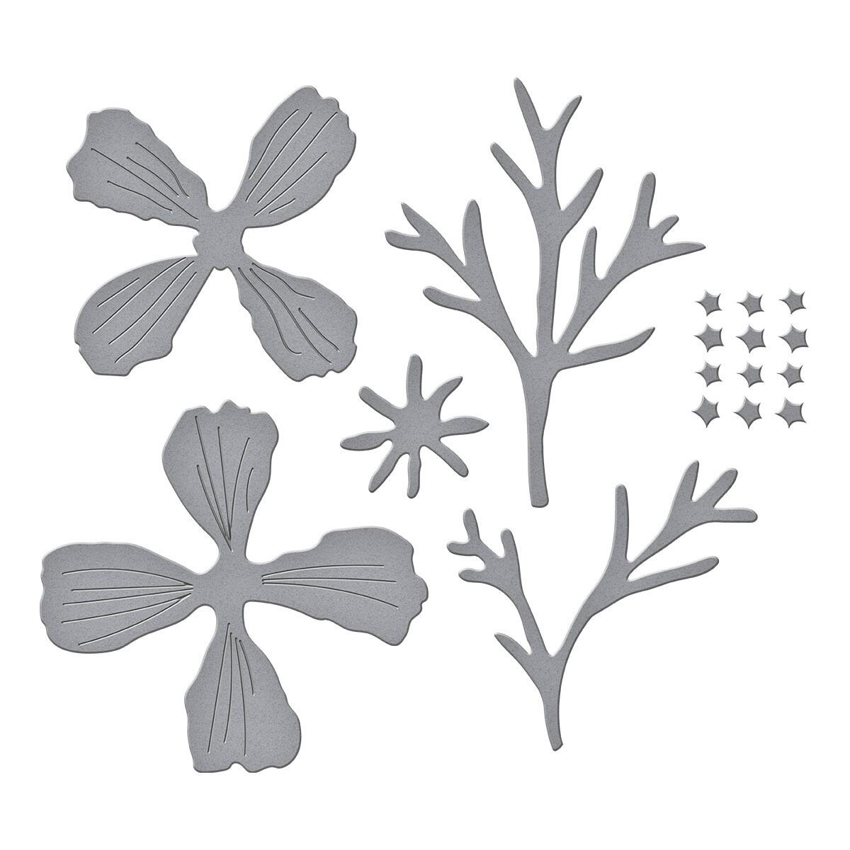 Spellbinders Cosmos Die Set - CraftSource Market: Craft Supplies & Kits Spellbinders > Dies > Summer > Craft Die Set