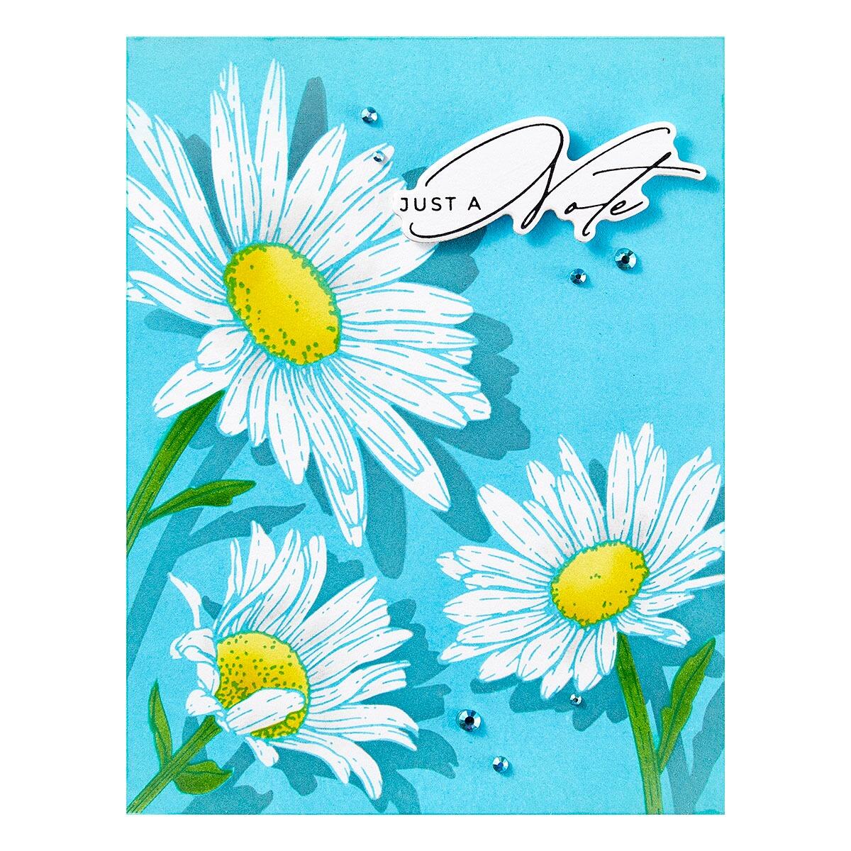 Spellbinders Daisy Trio Press Plates - CraftSource Market: Craft Supplies & Kits Spellbinders > Letterpress > Floral > Craft Press Plate