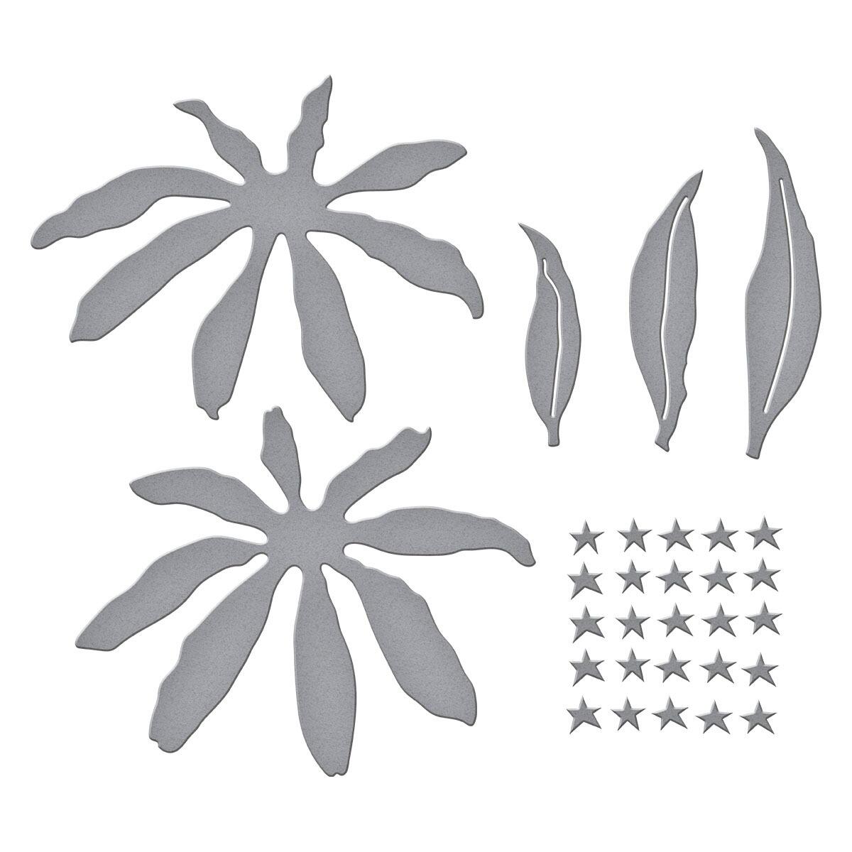 Spellbinders Echinacea (Coneflower) Die Set - CraftSource Market: Craft Supplies & Kits Spellbinders > Dies > Summer > Craft Die Set