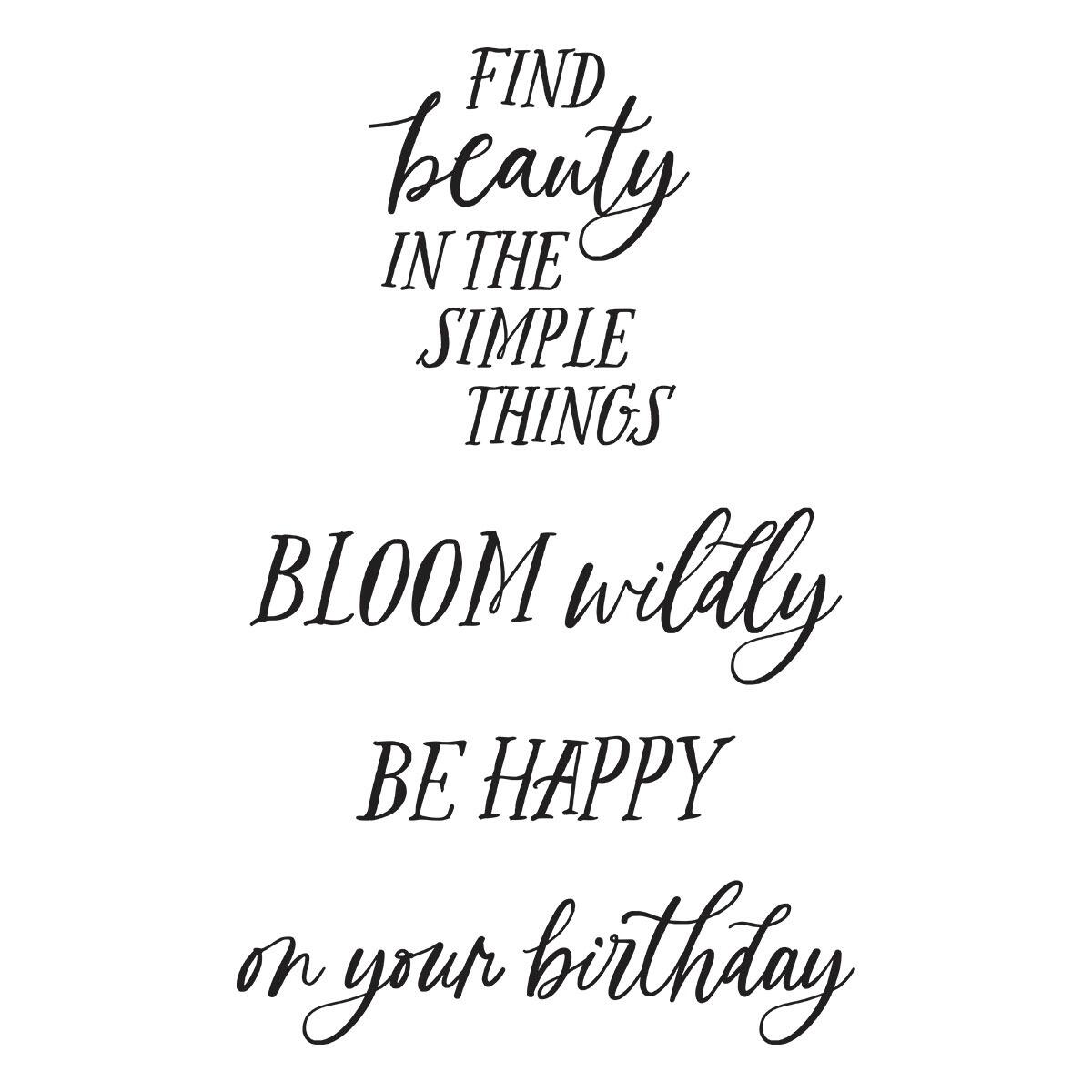 Spellbinders Field Notes Sentiments Stamp Set - CraftSource Market: Craft Supplies & Kits Spellbinders > Kits > Birthday > Craft Kit