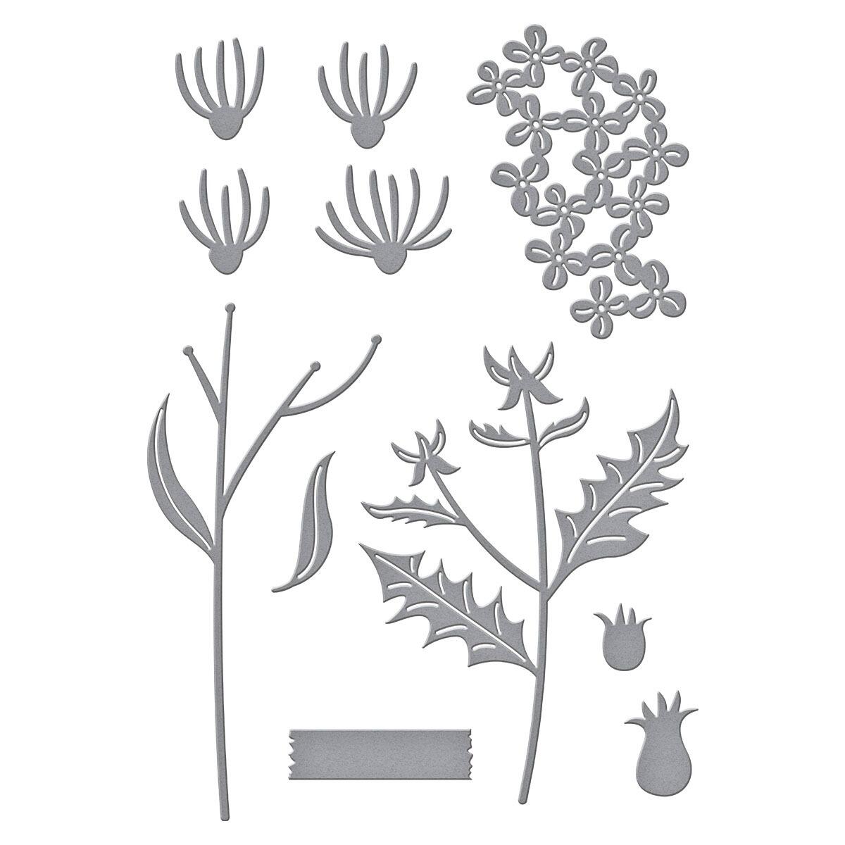 Spellbinders Field Notes Wildflowers Die Set - CraftSource Market: Craft Supplies & Kits Spellbinders > Dies > Floral > Craft Die Set