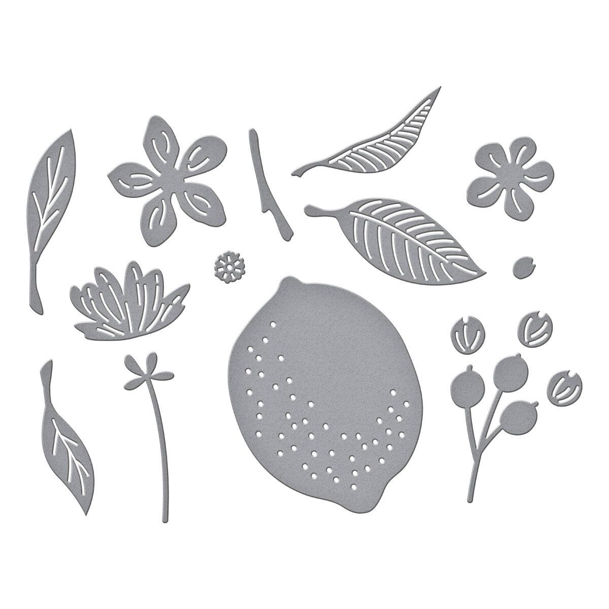 Spellbinders La Dolce Vita Citrus Spritz Die Set - CraftSource Market: Craft Supplies & Kits Spellbinders > Dies > Summer > Craft Die Set