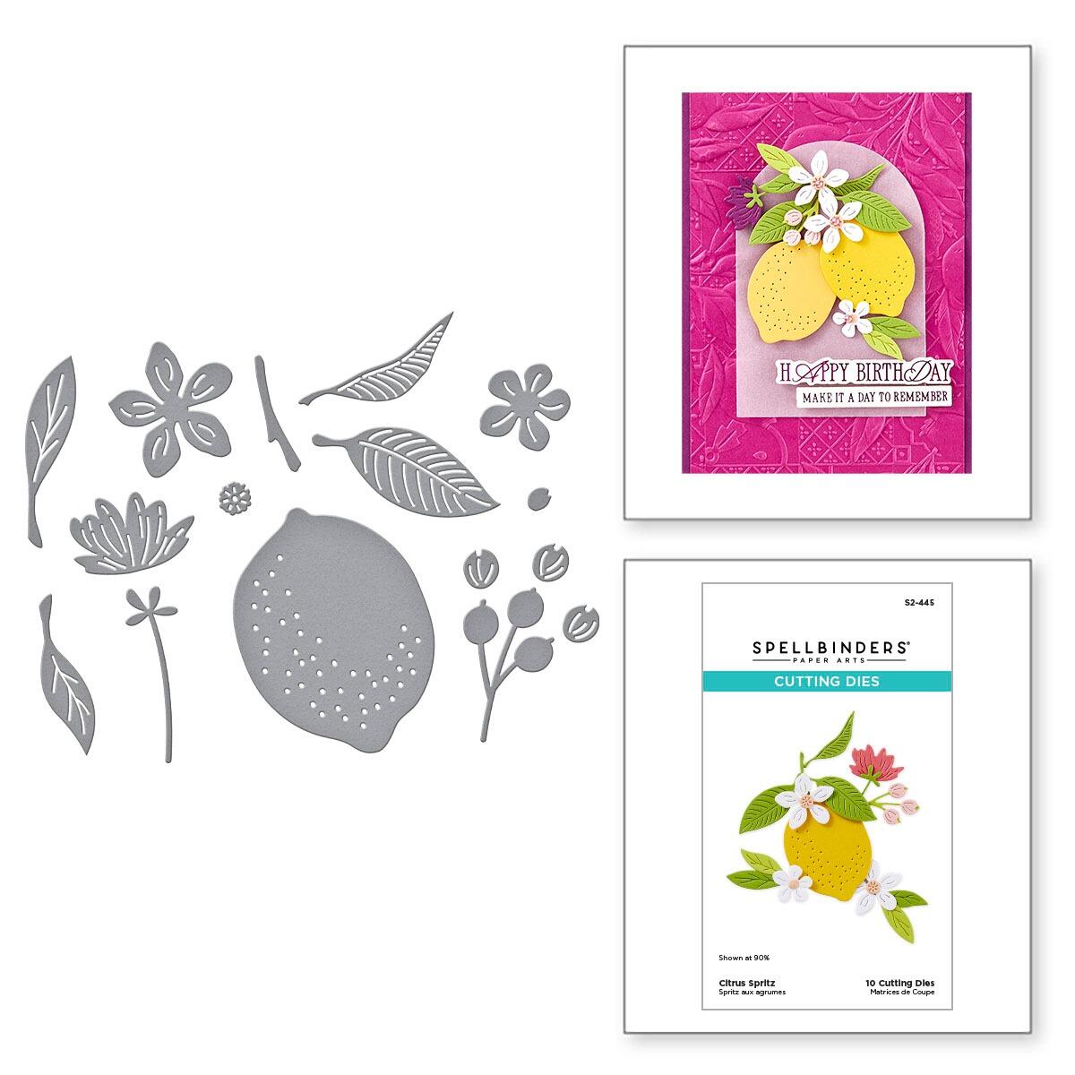 Spellbinders La Dolce Vita Citrus Spritz Die Set - CraftSource Market: Craft Supplies & Kits Spellbinders > Dies > Summer > Craft Die Set