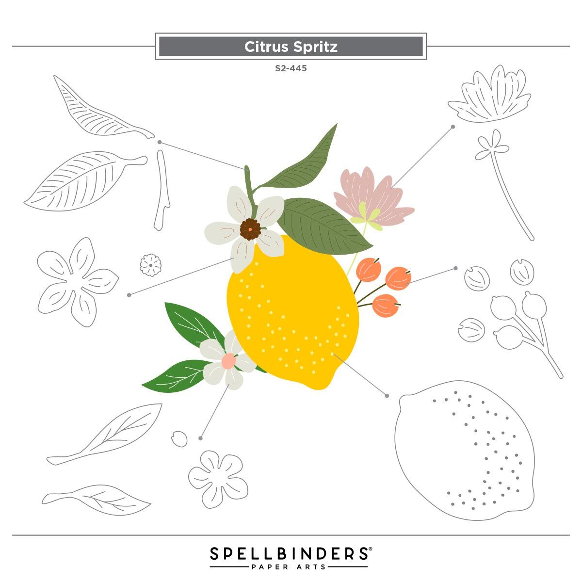 Spellbinders La Dolce Vita Citrus Spritz Die Set - CraftSource Market: Craft Supplies & Kits Spellbinders > Dies > Summer > Craft Die Set
