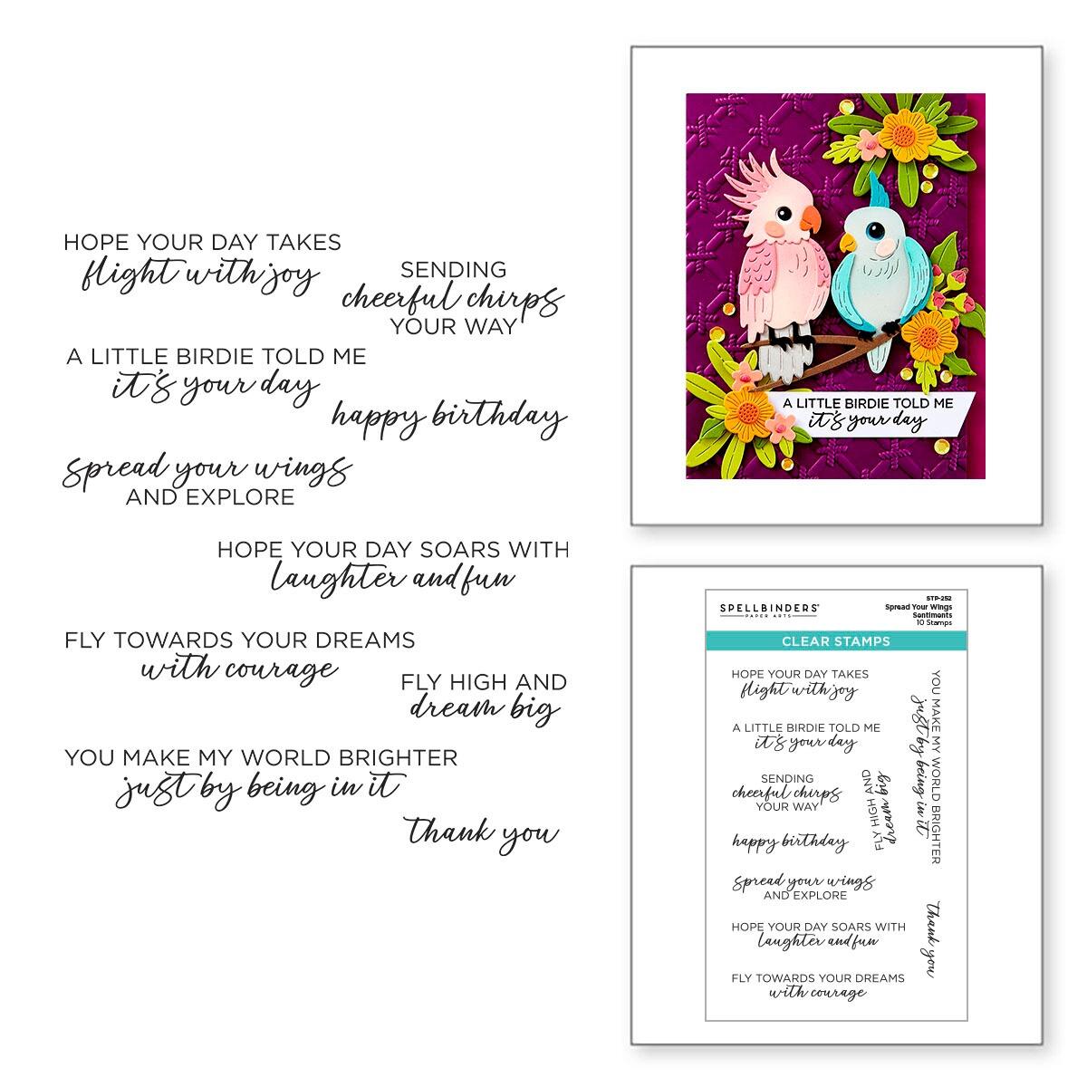Spellbinders Spread Your Wings Sentiments Stamp Set - CraftSource Market: Craft Supplies & Kits Spellbinders > Kits > Birthday > Craft Kit