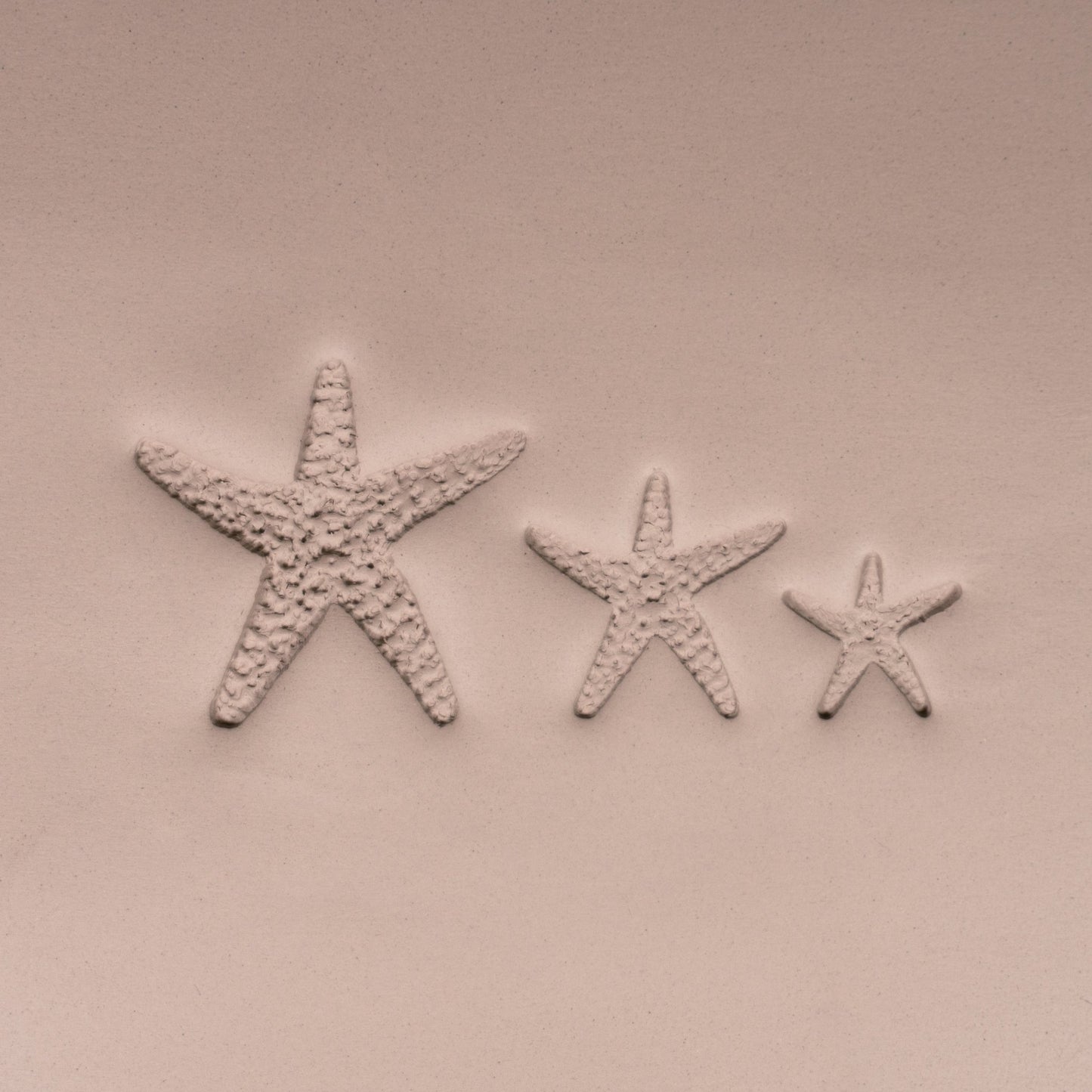 Starfish Stamp - Photo Textured - Style 1 - CraftSource Market: Craft Supplies & Kits Stamps