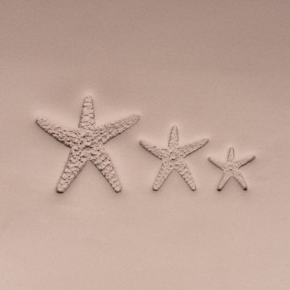 Starfish Stamp - Photo Textured - Style 1 - CraftSource Market: Craft Supplies & Kits Stamps