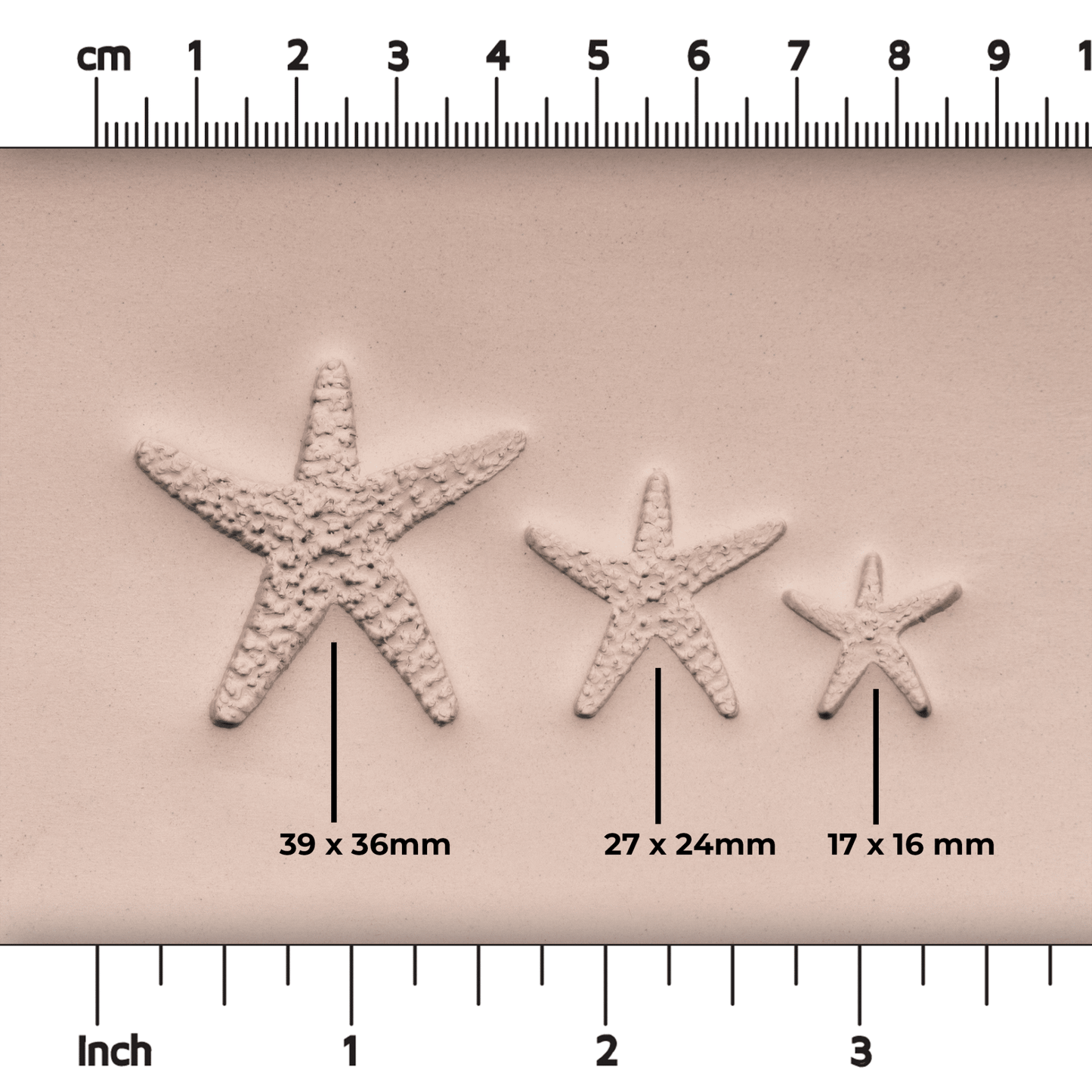 Starfish Stamp - Photo Textured - Style 1 - CraftSource Market: Craft Supplies & Kits Stamps