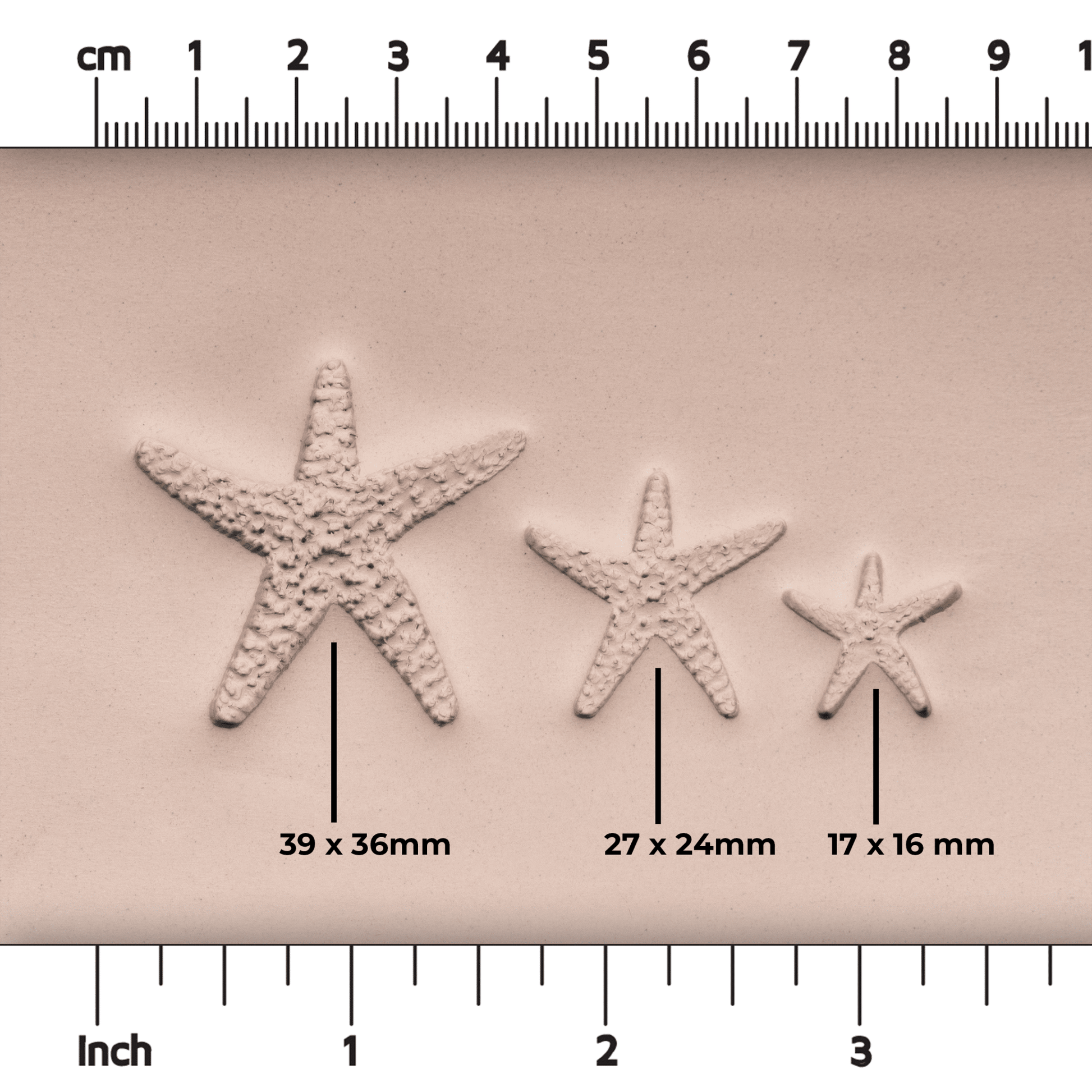 Starfish Stamp - Photo Textured - Style 1 - CraftSource Market: Craft Supplies & Kits Stamps