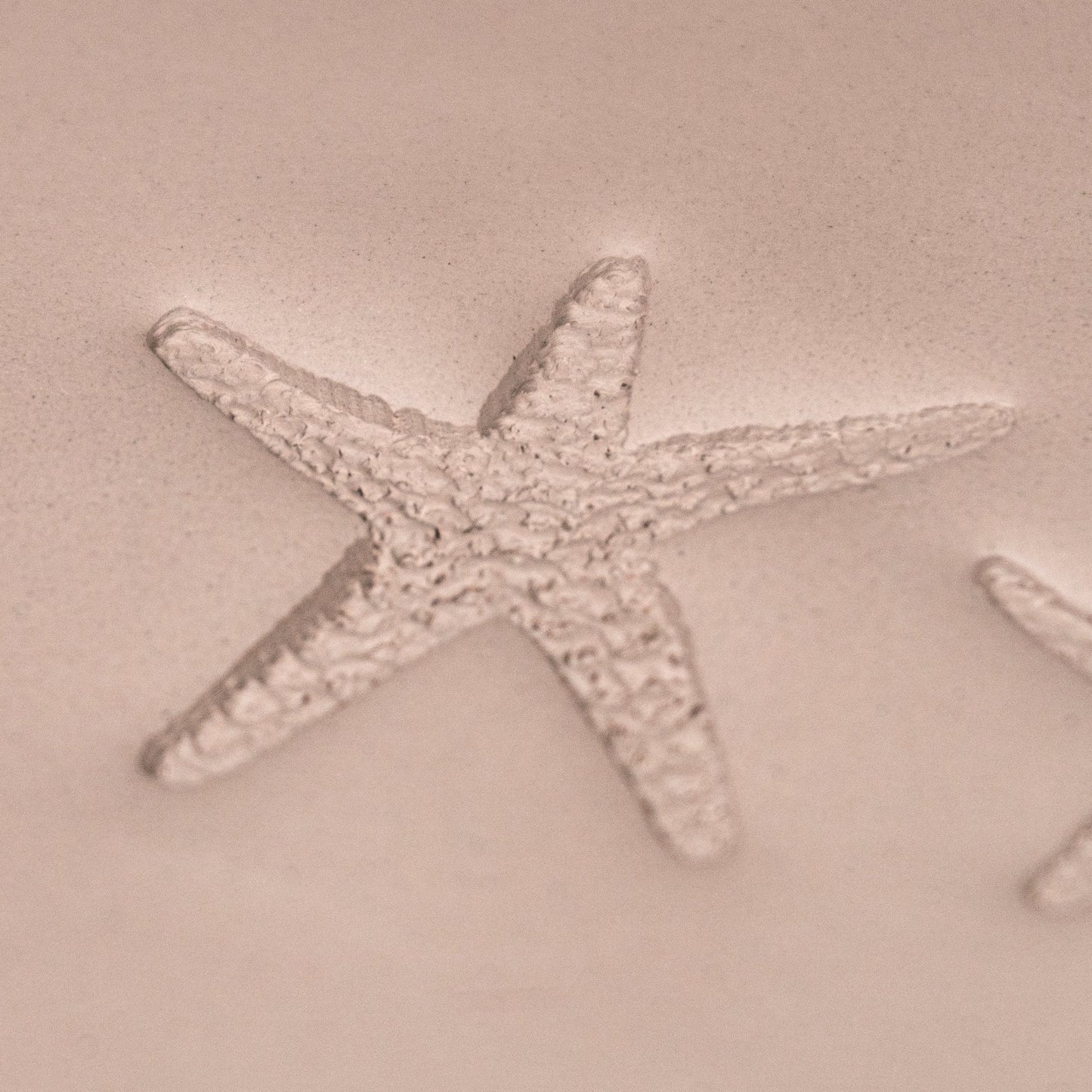 Starfish Stamp - Photo Textured - Style 1 - CraftSource Market: Craft Supplies & Kits Stamps