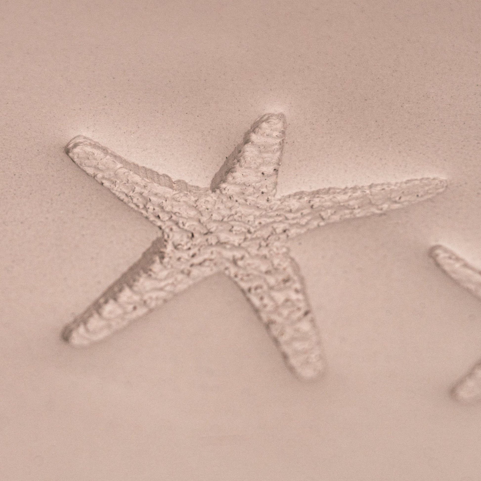 Starfish Stamp - Photo Textured - Style 1 - CraftSource Market: Craft Supplies & Kits Stamps