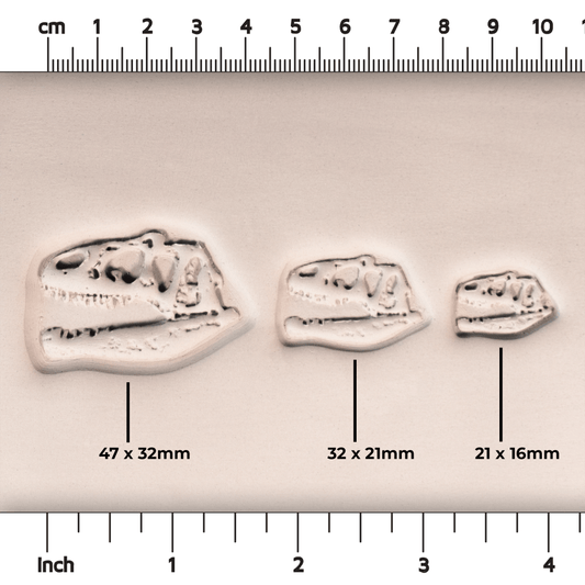 T-Rex Dinosaur Skull Fossil Stamp - Photo Textured - Style #1