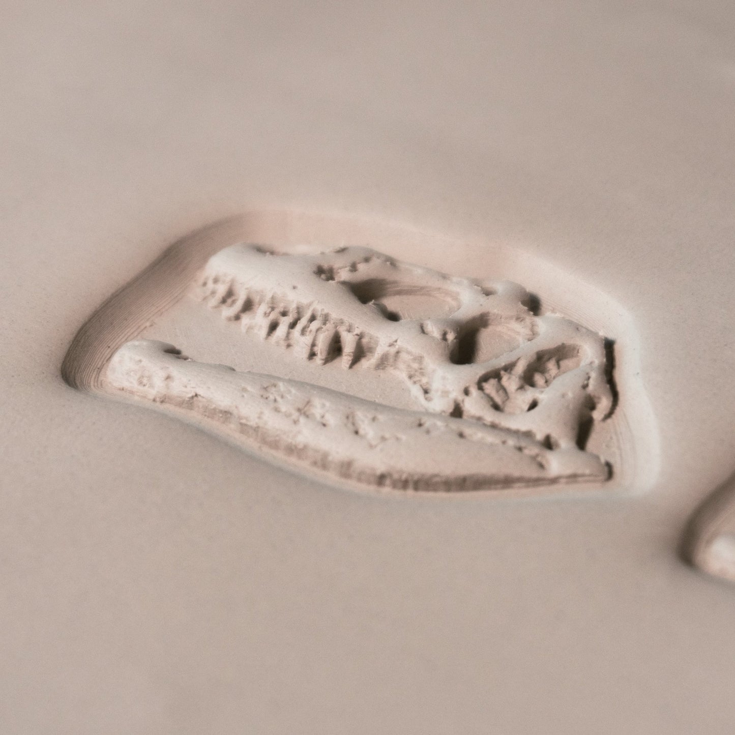 T - Rex Dinosaur Skull Fossil Stamp - Photo Textured - Style 1 - CraftSource Market: Craft Supplies & Kits Stamps