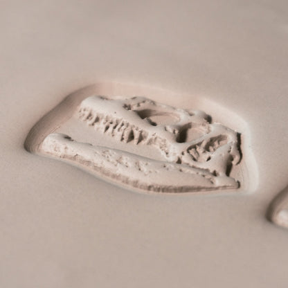T - Rex Dinosaur Skull Fossil Stamp - Photo Textured - Style 1 - CraftSource Market: Craft Supplies & Kits Stamps