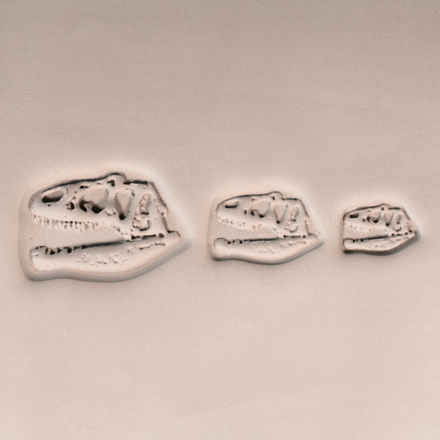 T - Rex Dinosaur Skull Fossil Stamp - Photo Textured - Style 1 - CraftSource Market: Craft Supplies & Kits Stamps